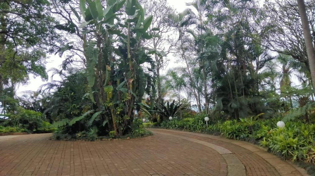 St George'S Guest House Tzaneen Oda fotoğraf