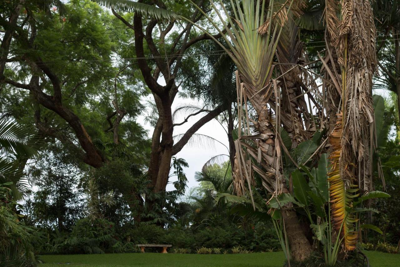 St George'S Guest House Tzaneen Dış mekan fotoğraf